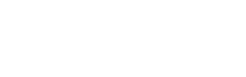 Bhashini